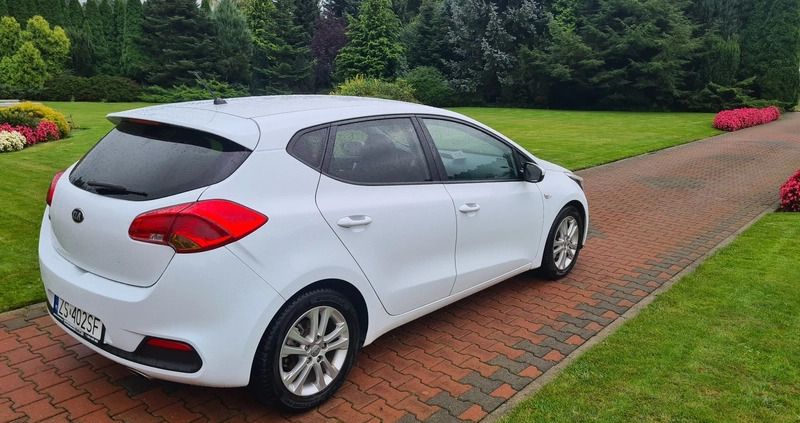 Kia Ceed cena 30900 przebieg: 188000, rok produkcji 2012 z Biała Podlaska małe 67